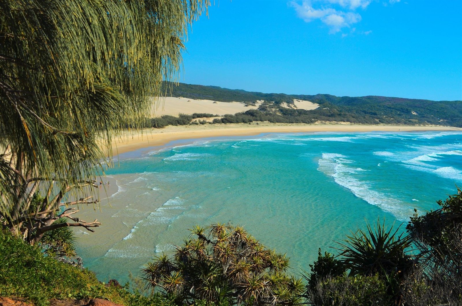 Turquoise water and golden sand of a sheltered cove on K'gari, framed by pandanus and coastal forest