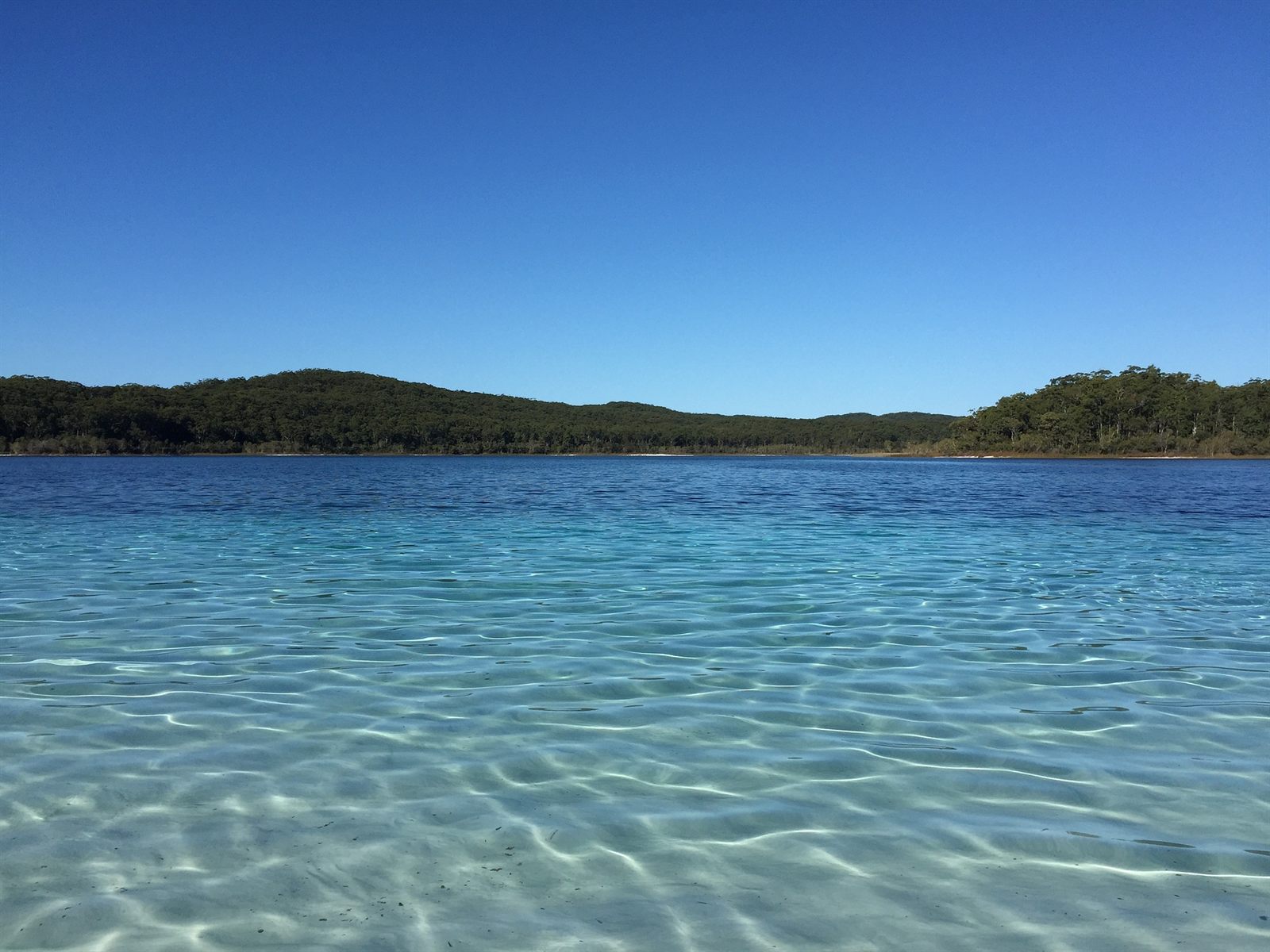 Crystal-clear freshwater of Lake McKenzie on K'gari
