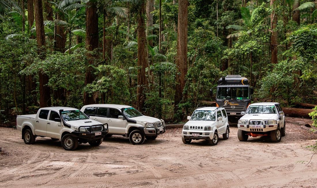 The Aussie Trax fleet of 4WDs parked among the rainforest on K'gari